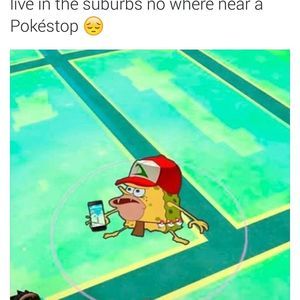 Meet your Posher, Patty